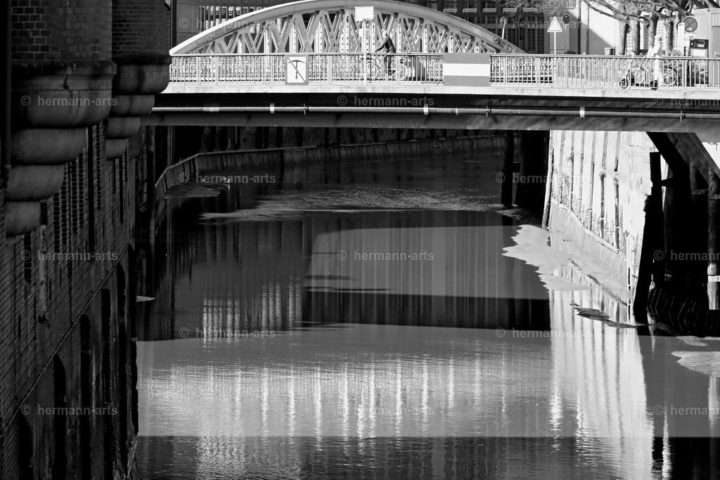 Hamurg_Arts-006 | Photo Foto Kunst Art schwarzweiss Bilder Rheine Münster Berlin Blumen 