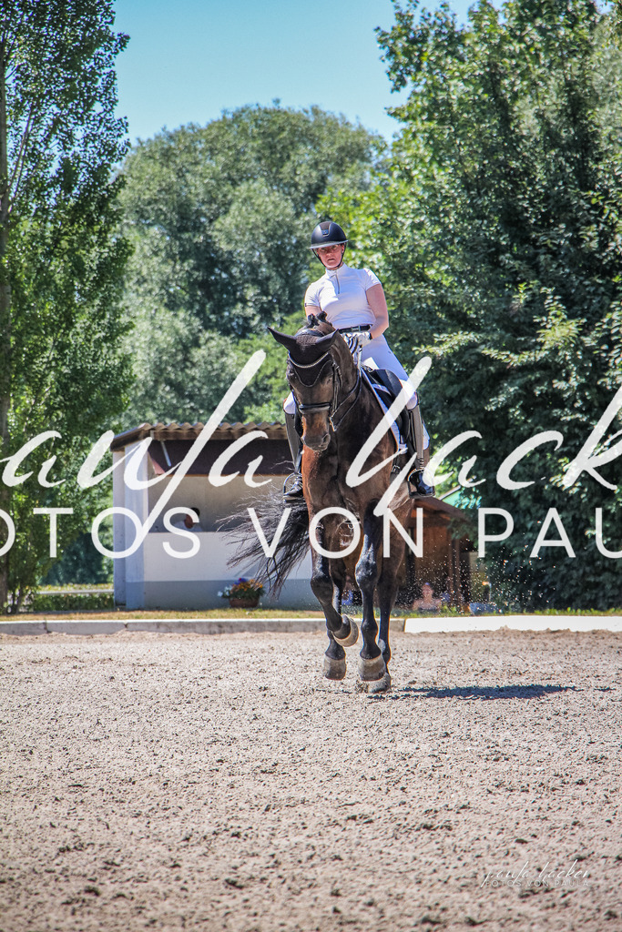 IMG_1269 | Erleben Sie dynamische Sport- und emotionale Tierfotografie in Süddeutschland mit Fotos von Paula. Spezialisiert auf Pferde- und Hundefotografie sowie Sportevents. Kontaktieren Sie mich für einzigartige und ausdrucksstarke Bilder Ihrer besonderen Momente.