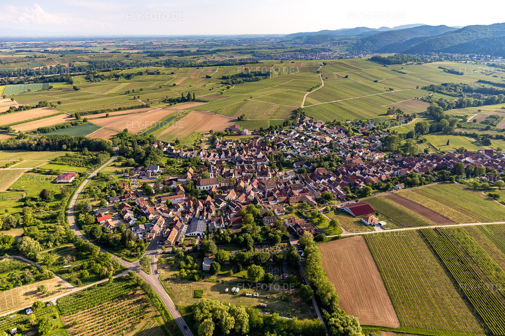 Luftbild: Landwirtschaftliche Nutzflächen und Feldgrenzen umsäumen das Siedlungsgebiet des Dorfes in Göcklingen im Bundesland Rheinland-Pfalz in Deutschland. Foto: IMG_120740.jpg vom 21.05.2020 durch Werner Riehm/FLY-FOTO.de