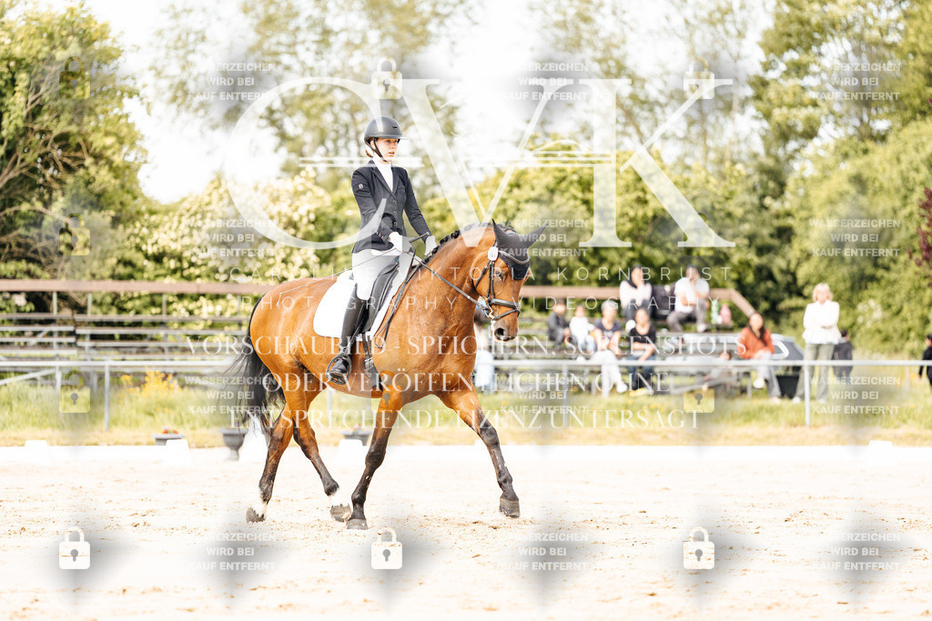 CK900939 | Turnierfotografie Pferdefotografie Trier Rheinland-Pfalz Pferdesport Reitsport Tierfotografie Sportfotografie Pferdevideo Pferdevideografie Equestrianvideography equestrianphotography  - Realisiert mit Pictrs.com