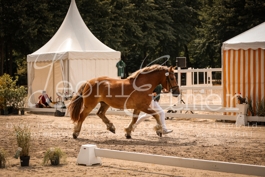 3.Sa00018 | Leoni Ertmer Photography - Realisiert mit Pictrs.com