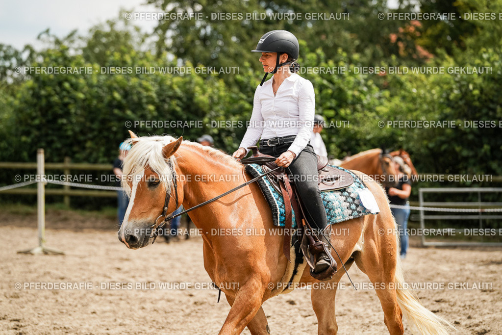 DSC00298 | Pferdegrafie