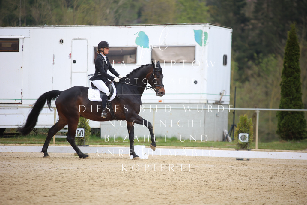 IMGT7100 | pl-fotografie