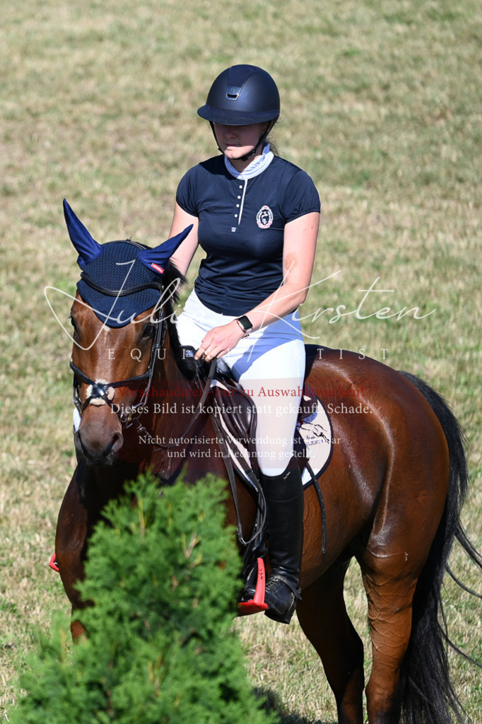 DSC_2074 | Pferde- und Turnierfotografie in Westsachsen. Pferdeportraits, Auftragszeichnungen und intuitive Kunst.