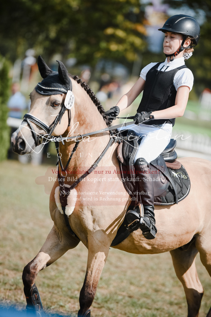 DSC_5304 | Pferde- und Turnierfotografie in Westsachsen. Pferdeportraits, Auftragszeichnungen und intuitive Kunst.