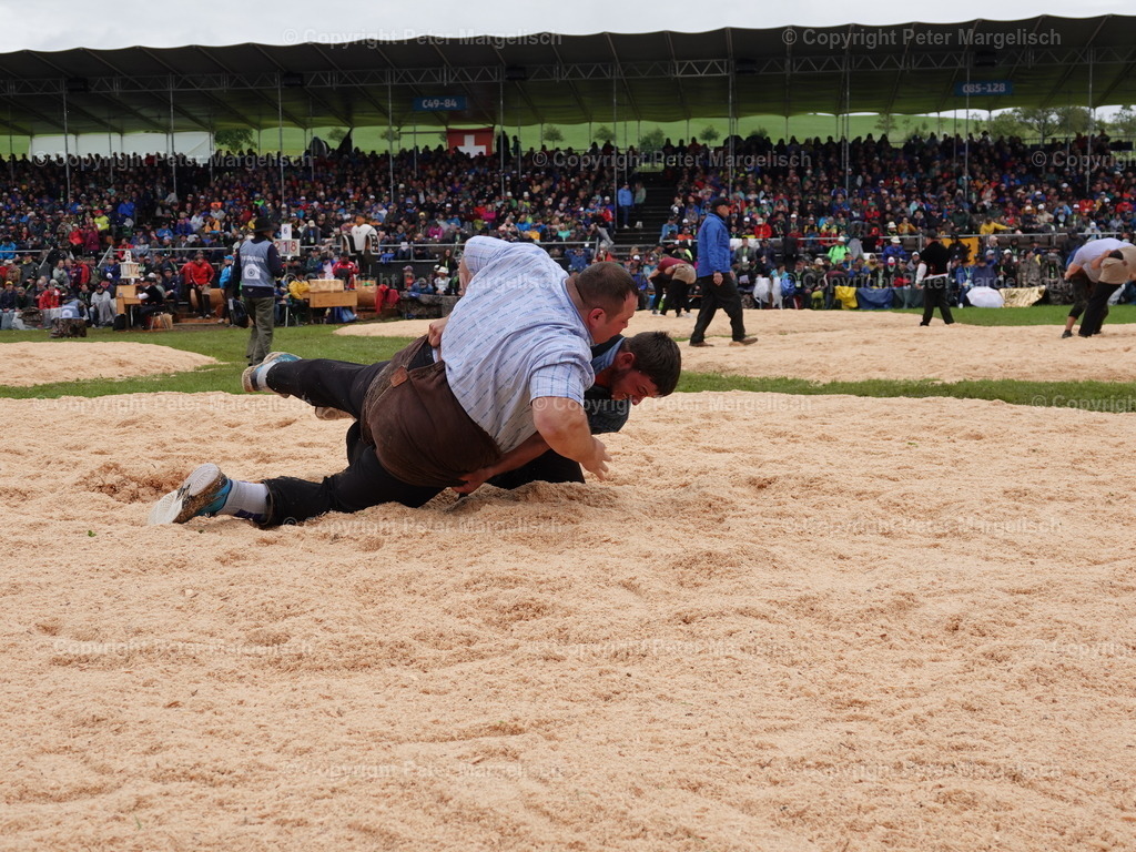 DSC07995 | Schwingen - Realisiert mit Pictrs.com