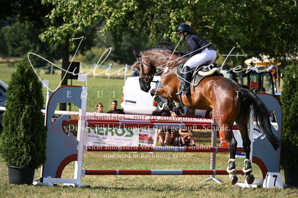 DSC_1186 | Pferde- und Turnierfotografie in Westsachsen. Pferdeportraits, Auftragszeichnungen und intuitive Kunst.