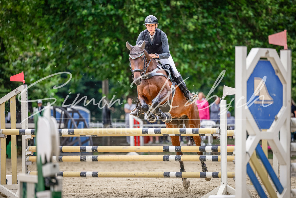 20250706-_3LI4236 | Tierfotografie Pferde, Hunde, Katzen, Haustiere.
Turnierfotografie Reitturniere, Reiten, Springreiten, Dressur in Hanau, dem Main-Kinzig-Kreis und dem Rhein-Main- Gebiet um Frankfurt