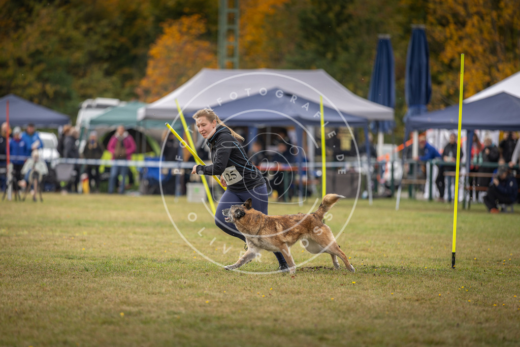 Pfotenfotografie_DV3A6916 | Hundefotografie, Tierfotograf, Pfotenfotografie, Fotoshooting Hund, Hunde Portrait, Hundesport, Hundeportraits, Heideshooting, Hunde, Sportfotograf, Hundefotograf, Turnierhundsport, THS,  - Realisiert mit Pictrs.com