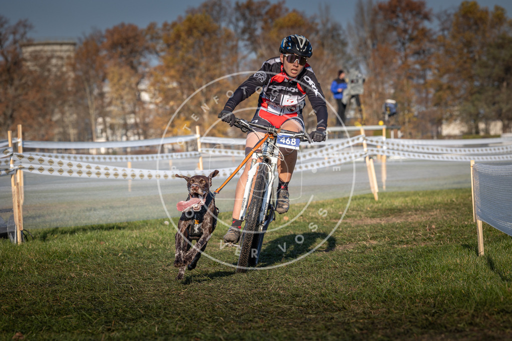 CaniXpix_0L8A4580 | Hundefotografie, Tierfotograf, Pfotenfotografie, Fotoshooting Hund, Hunde Portrait, Hundesport, Hundeportraits, Heideshooting, Hunde, Sportfotograf, Hundefotograf, Turnierhundsport, THS,  - Realisiert mit Pictrs.com