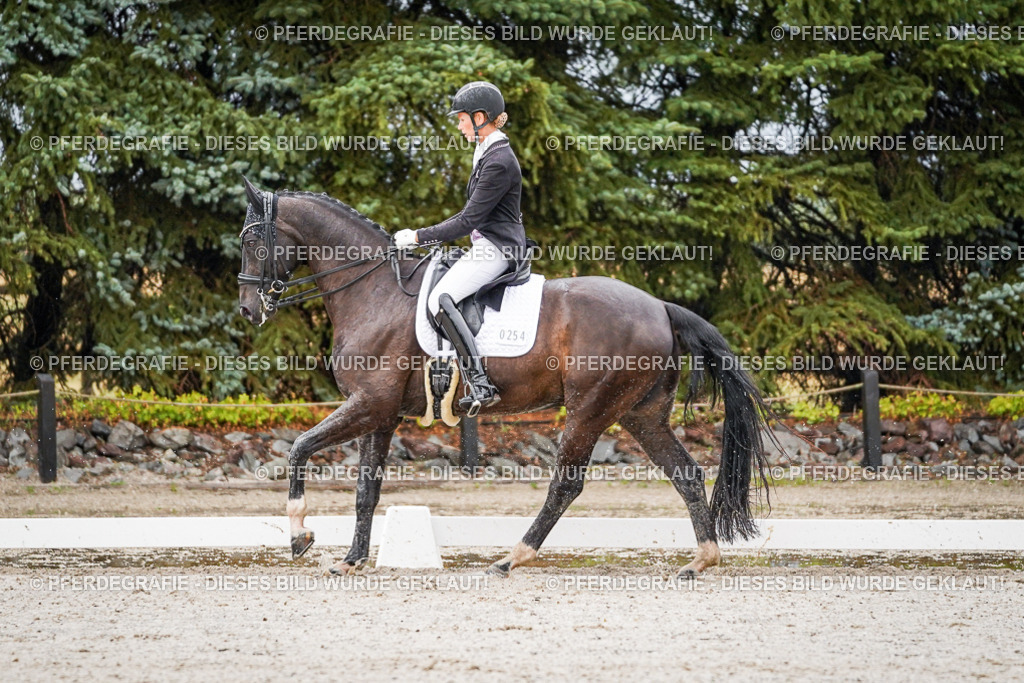 DSC08756 | Pferdegrafie