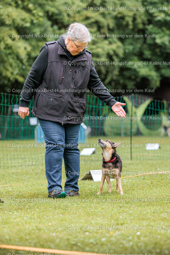 RO-Blumenthal-2026-Nickbest-Hundefotografie-4530 | Dein Hund! Dein Moment! Deine Erinnerungen! Hundefotografie in Bremen Blumenthal. Ich fange die besonderen Momente deines Vierbeiners ein – ob Indoor mit Blitzanlage oder in der freien Natur. Sicher dir dein Moment und dein Termin für eure Erinnerungen.