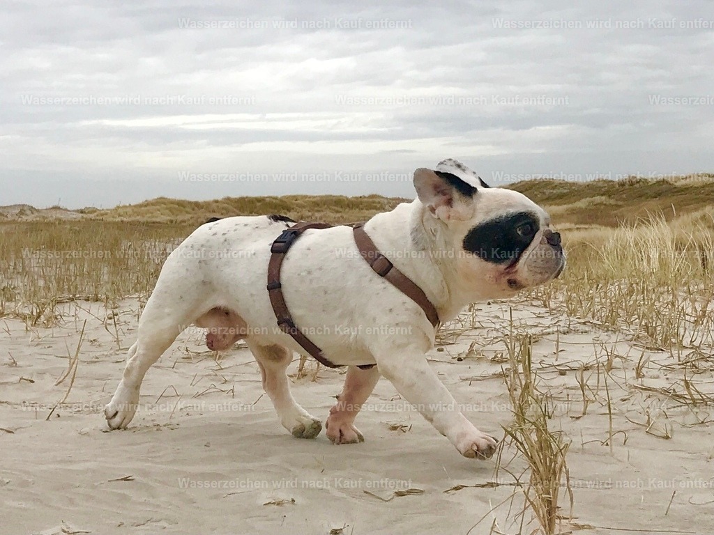 IMG_0552 | heikomoeller - Realisiert mit Pictrs.com