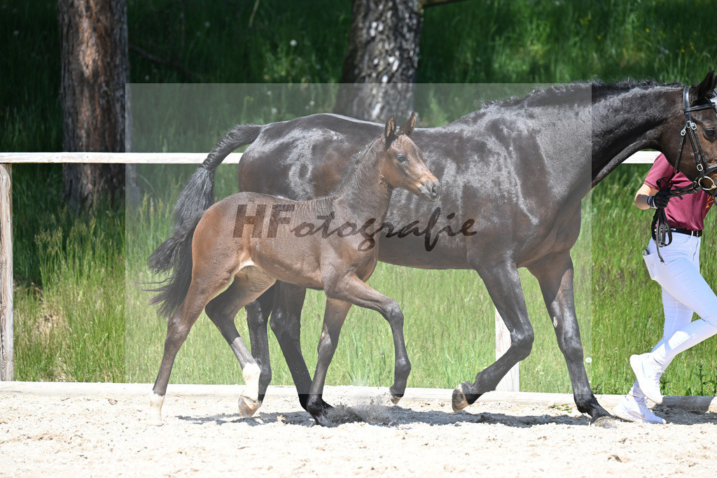 Feliciano x Ray Ban_SF_Stadelmann_10250548 | hf-fotografie - Realizzato con Pictrs.com