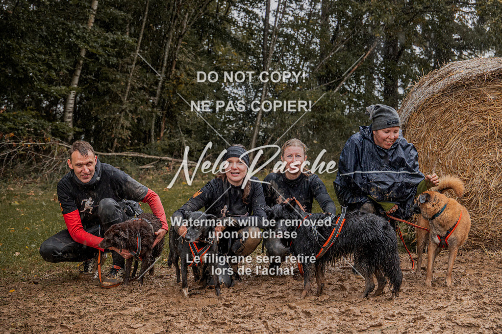 nelerasche_Hunsrück_So12-13_163 | nelerasche