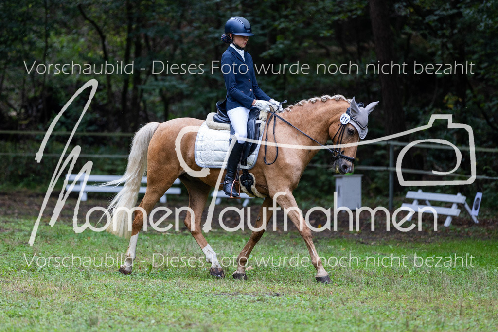 HB-A-Dressur-025 | MomenTaufnahmen Pferdesportfotos