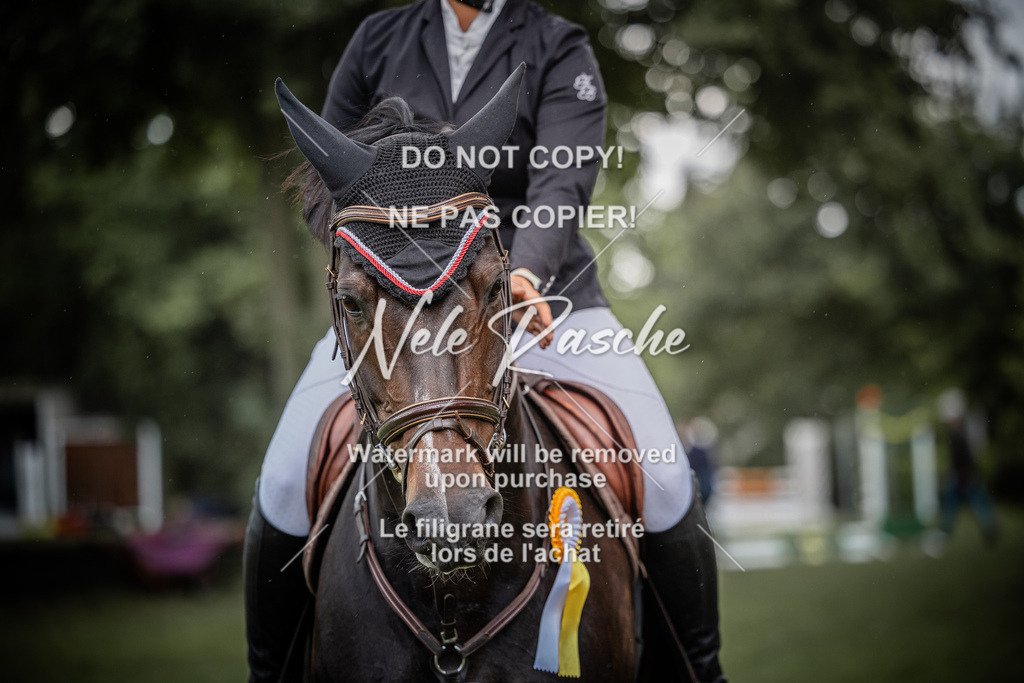 nelerasche_SprA__100Ede_50 | nelerasche