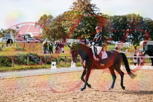 2026_10_03_Siefer-Hof_133621_Z63_96893905 | Professionelle Reitsport-, Turnier- und Eventfotografie von Robert Broda. Galerien mit ausgewählten und bearbeiteten Bildern direkt online ansehen und bestellen.