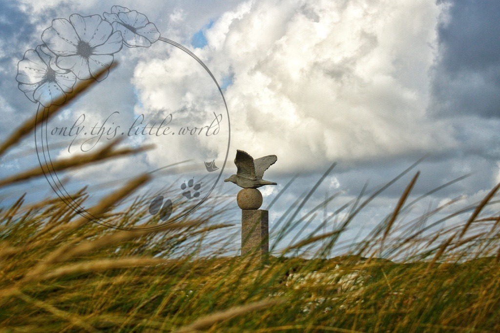 IMG_9104-02 | only.this.little.world - Realisiert mit Pictrs.com