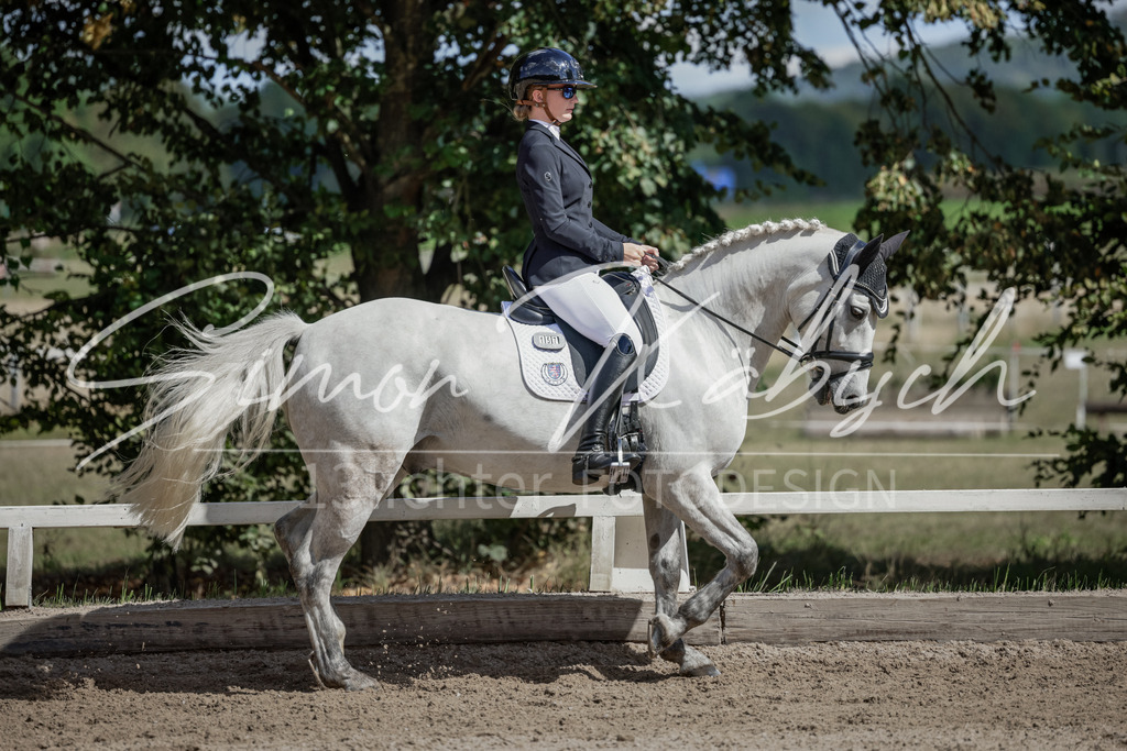 20250906-_3LI5565 | Tierfotografie Pferde, Hunde, Katzen, Haustiere.
Turnierfotografie Reitturniere, Reiten, Springreiten, Dressur in Hanau, dem Main-Kinzig-Kreis und dem Rhein-Main- Gebiet um Frankfurt