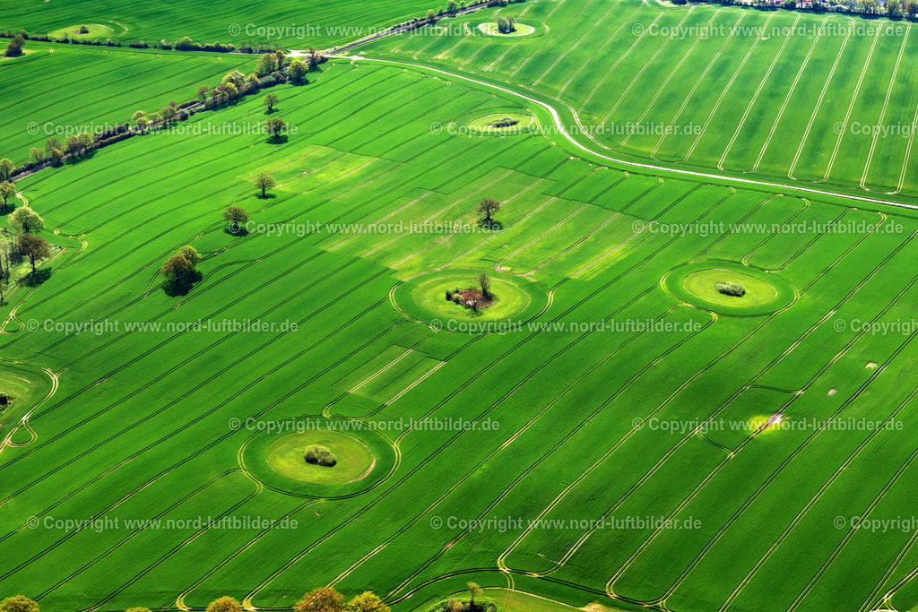 Neustadt_In_Holstein_Felder_ELS_5379010524 | SIERKSDORF 01.05.2024 Landschaft vorwiegend landwirtschaftlich genutzte Felder mit in Sierksdorf im Bundesland Schleswig-Holstein, Deutschland. // Landscape with predominantly agricultural fields in Sierksdorf in the state Schleswig-Holstein, Germany. Foto: Martin Elsen