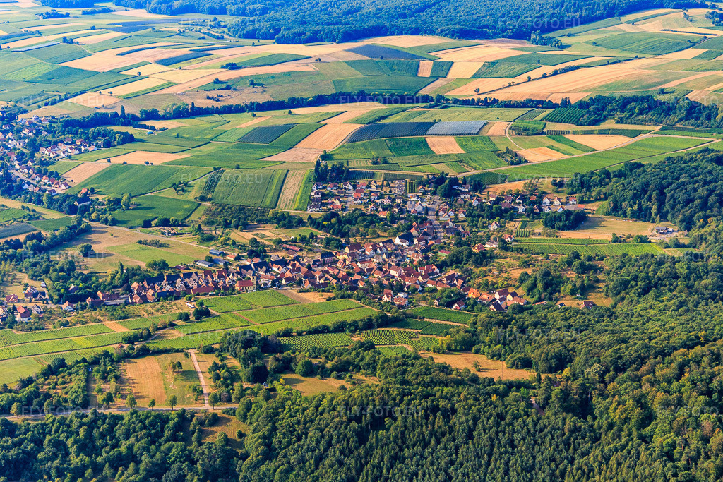 Vue aérienne: Vue de la ville depuis l'ouest à Rott dans le département Bas Rhin, France – .Photo: IMG_121923.jpg prise le 01/08/2020 par Werner Riehm/FLY-FOTO.eu – Résolution de l'original: 5472 x 3648 px