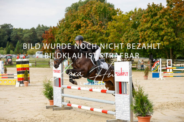 _62_9138 | larahueckfotografie