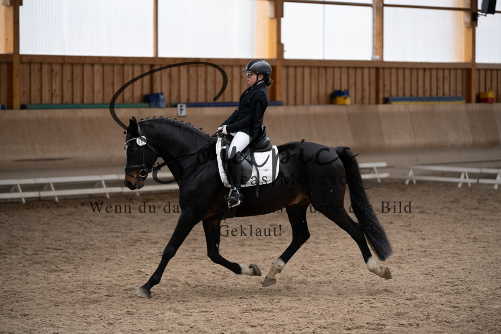 A7V09645 | Pferdefotograf