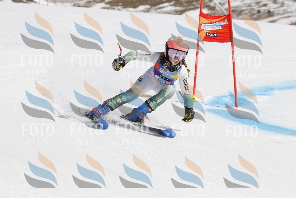 _U3G0160 | holidayphoto