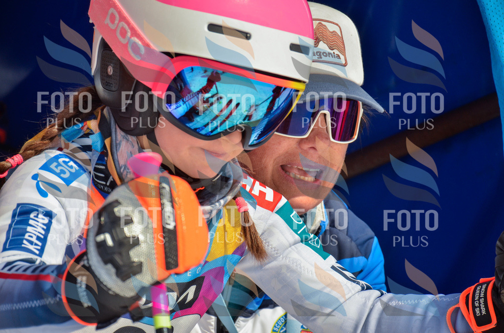 _ELE4749 | holidayphoto