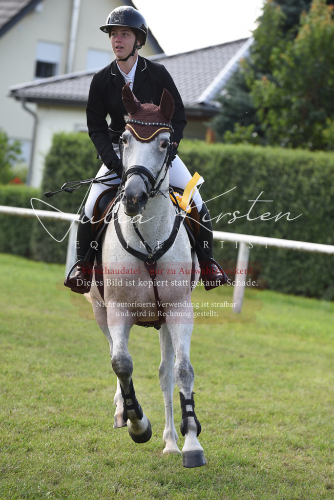 DSC_9020 | Pferde- und Turnierfotografie in Westsachsen. Pferdeportraits, Auftragszeichnungen und intuitive Kunst.