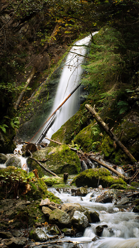_HFG9712-HDR | Holzisphotography, Landschaftsfotografie, Wildlifefotogorafie - Realisiert mit Pictrs.com