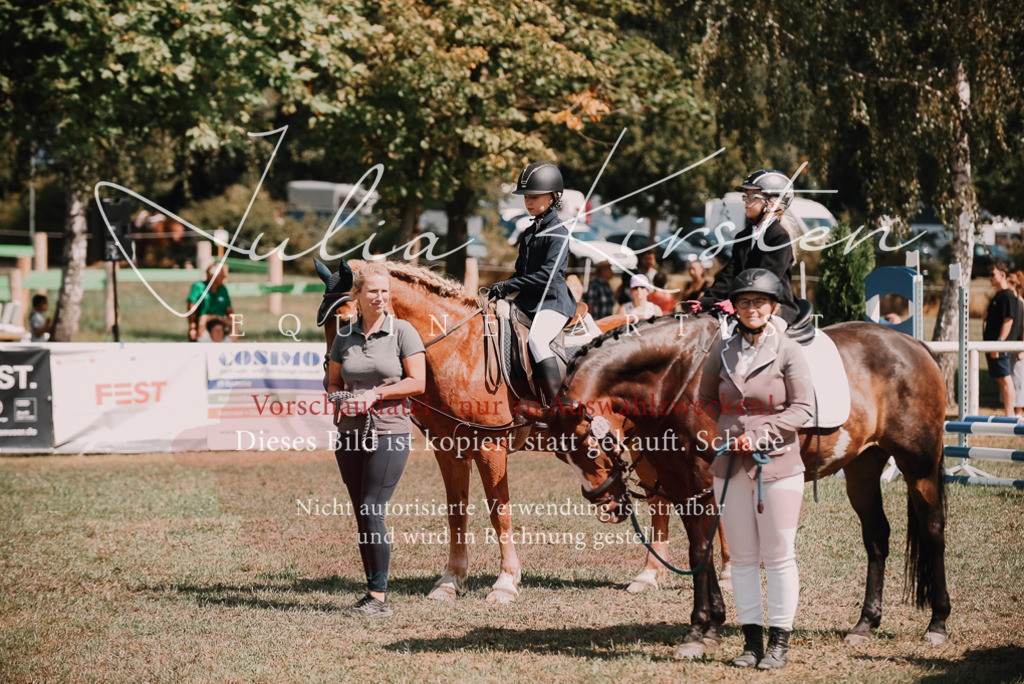 DSC_5949 | Pferde- und Turnierfotografie in Westsachsen. Pferdeportraits, Auftragszeichnungen und intuitive Kunst.