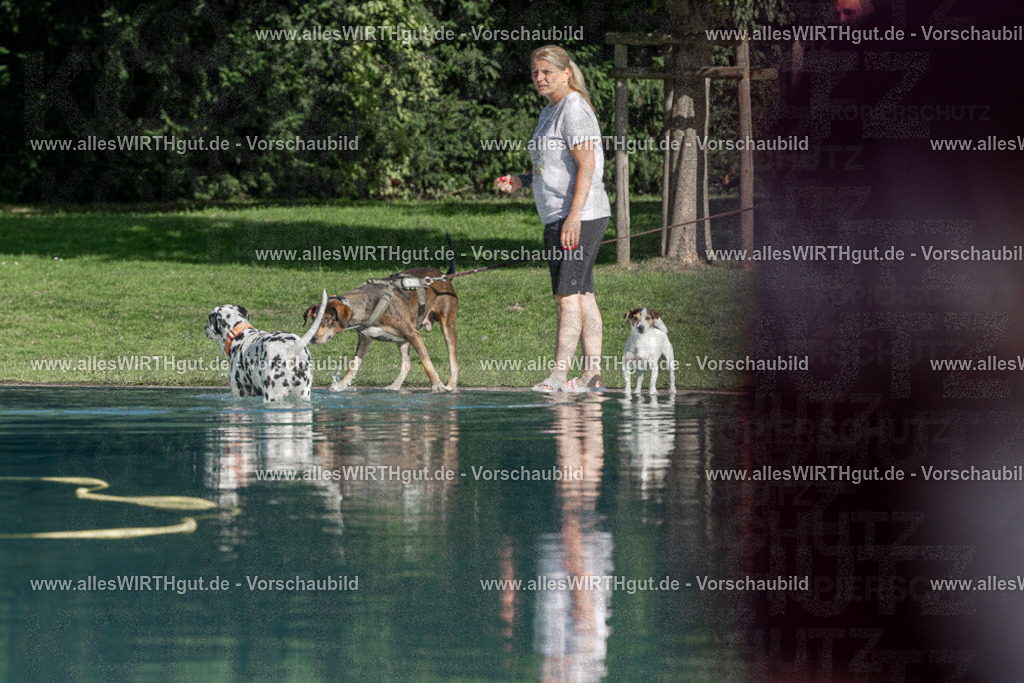 Hundeschwimmen_Volksbad_2026-allesWIRTHgut_Tierfotografie-2609061603-FAY07349 | Professionelle Tierfotografie in Mönchengladbach von Daniel Wirth (allesWIRTHgut). Liebevolle & natürliche Bilder von Hunden & Katzen für unvergessliche Erinnerungen.