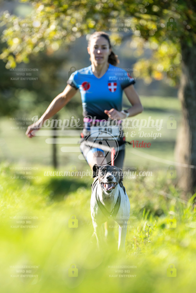 MompixPhotography_20TSB_E3_Run-110 | PayLife