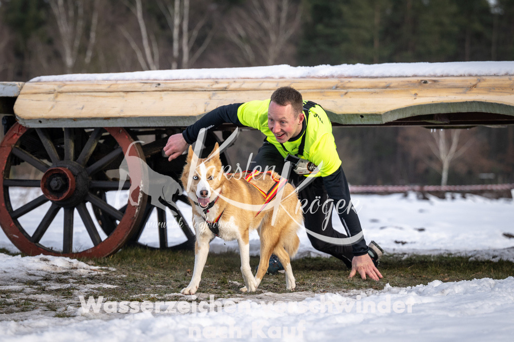 0811_ZZ90721-5 | kk-dogfotos