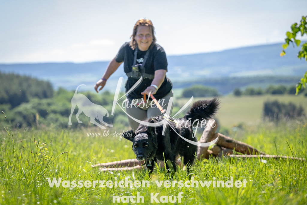 1041_ZZ93643 | kk-dogfotos
