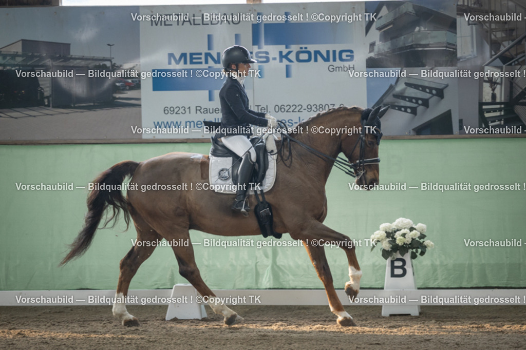 _D5A4204 | Emotionale Pferde- & People-Fotografie rund um Heidelberg, Leimen & Umgebung. Natürliche Fotos von Pferd, Mensch & Familie. Jetzt Termin sichern!