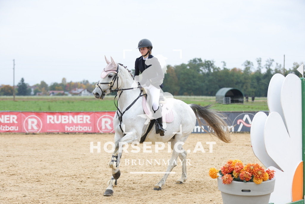 0P6A1282 | Willkommen bei Brunnmayr - Design & Fotografie – Ihrem Spezialisten für Reitturniere und Pferdeveranstaltungen in Oberösterreich, Salzburg und Bayern! Seit über 17 Jahren sind wir leidenschaftlich dabei.