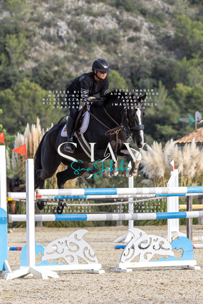 IMG_4527 | s-jay-photography - Realisiert mit Pictrs.com