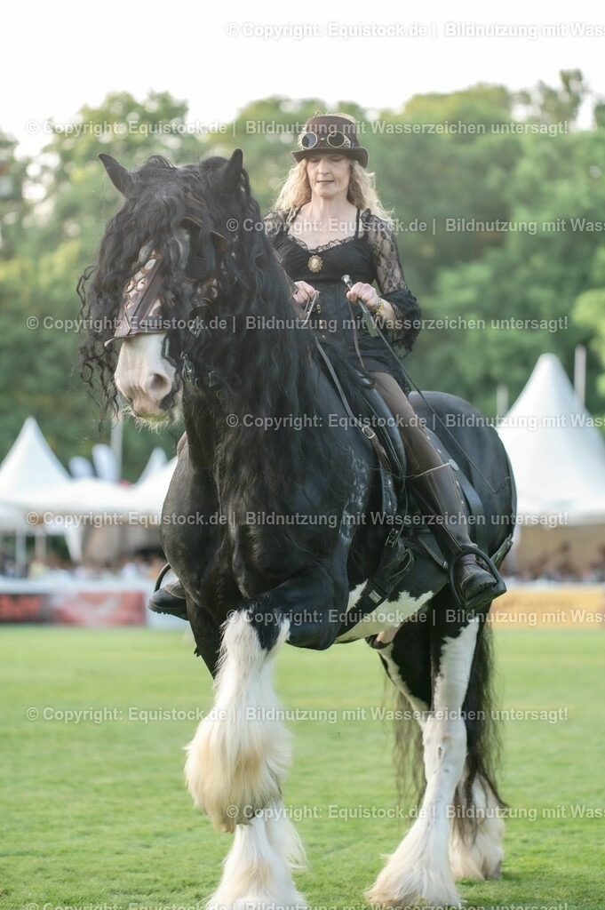20230526_Pferdenacht_0314 | equistock