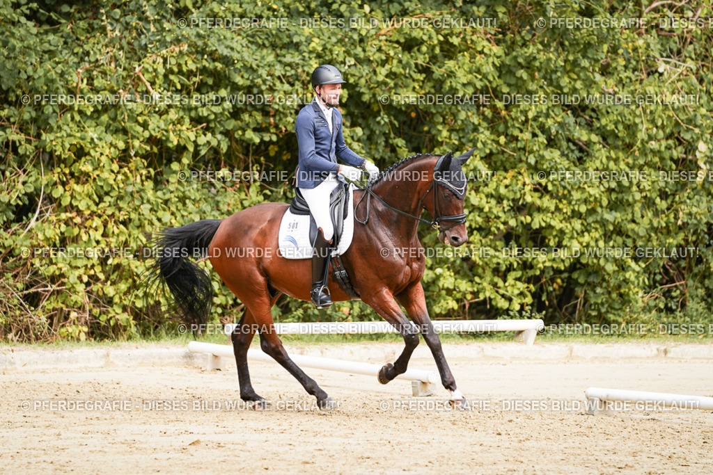 DSC09087 | Pferdegrafie