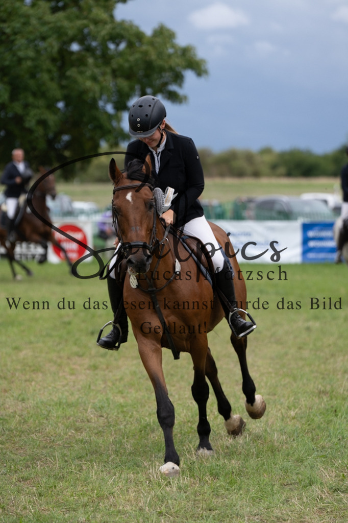 A7V06092 | Pferdefotograf