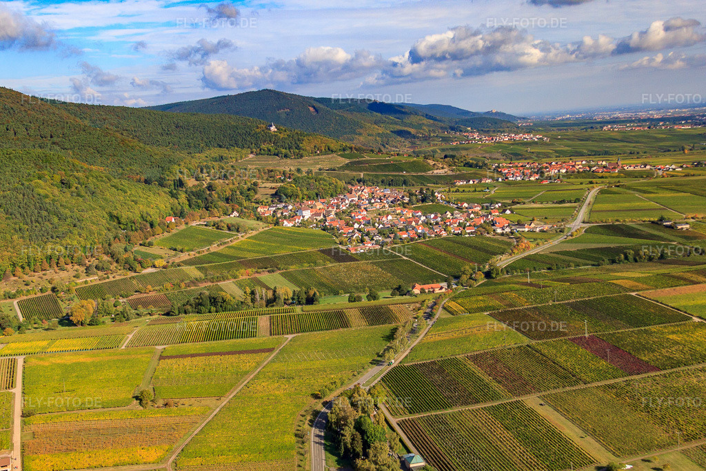 Luftbild: Winzerdorf am Haardtrand von Süden in Gleisweiler im Bundesland Rheinland-Pfalz in Deutschland. Foto: IMG_22285.jpg vom 15.10.2009 durch Werner Riehm/FLY-FOTO.de