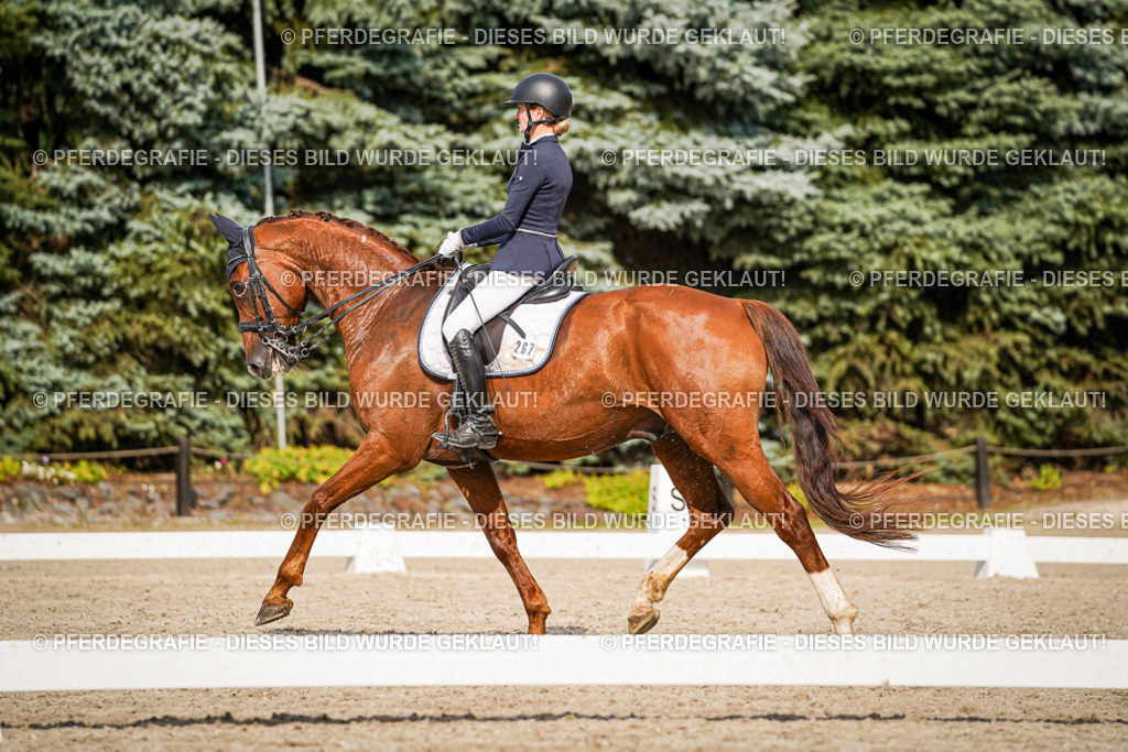 DSC07371 | Pferdegrafie