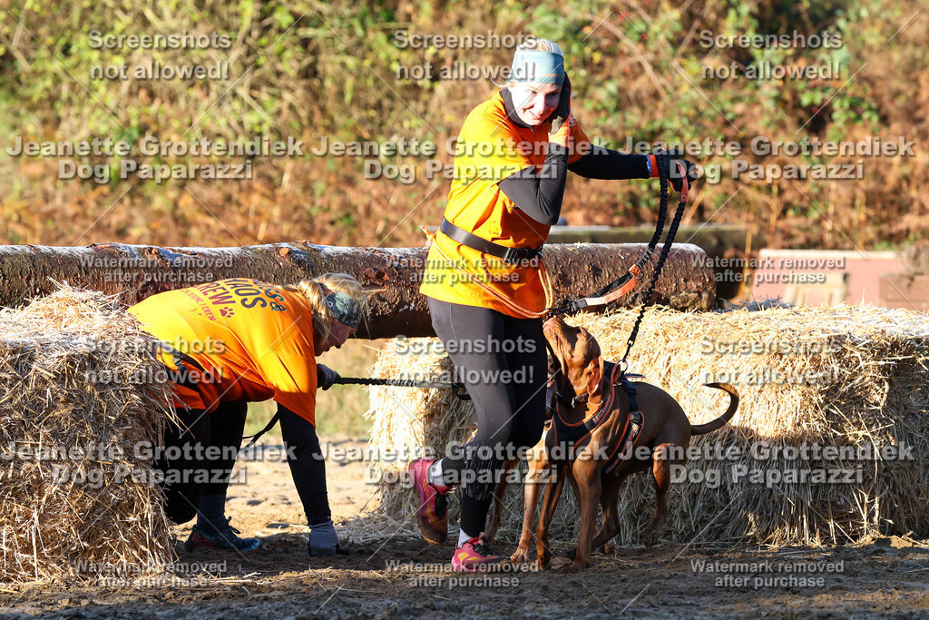 Dog Paparazzi - Strongdog 10-25-796 | Dog Paparazzi Jeanette Grottendiek Fotografie & Videografie - Realisiert mit Pictrs.com