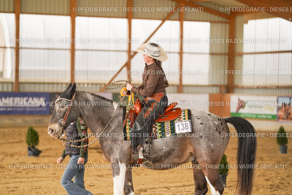 DSC05357 | Pferdegrafie