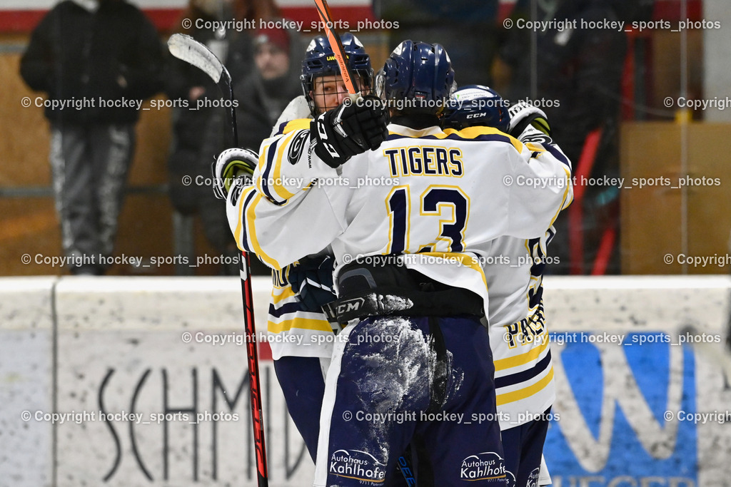 EC Tigers Paternion vs. Tarco Wölfe II | Jubel EC Tigers Paternion Mannschaft, #8 Ortner Sandro EC Tigers Paternion, #13 Untermoser Christoph EC Tigers Paternion, #9 Gratzer Julian EC Tigers Paternion, EC Tigers Paternion vs. Tarco Wölfe II, EC Tigers Paternion vs. Tarco Wölfe II am 19.12.2024 in Spittal an der Drau (Eissportzentrum Spittal), Austria, (Photo by Bernd Stefan)