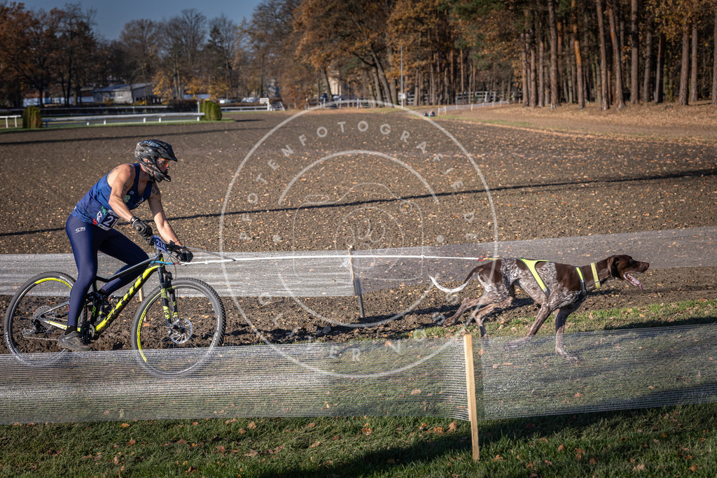 CaniXpix_DV3A3228 | Hundefotografie, Tierfotograf, Pfotenfotografie, Fotoshooting Hund, Hunde Portrait, Hundesport, Hundeportraits, Heideshooting, Hunde, Sportfotograf, Hundefotograf, Turnierhundsport, THS,  - Realisiert mit Pictrs.com