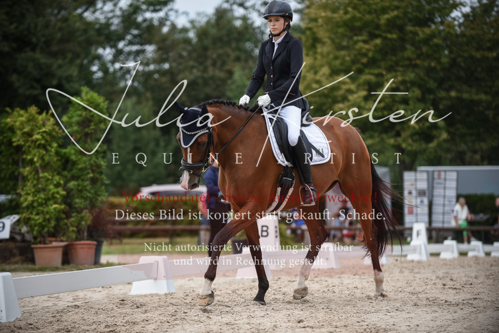 DSC_8405 | Pferde- und Turnierfotografie in Westsachsen. Pferdeportraits, Auftragszeichnungen und intuitive Kunst.